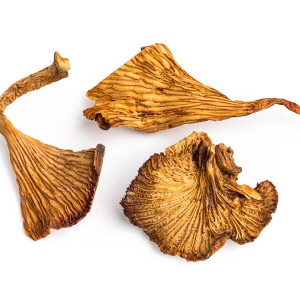 Buy Chanterelles Mushroom Online  Arizona 